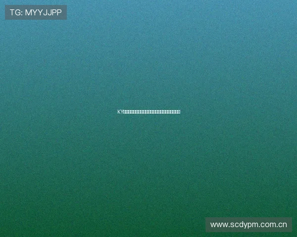 KY体育地址最新更新，官方提供的最准确位置导航服务