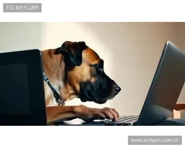 万狗体育:结合科技创新打造宠物运动新生态 万狗体育:结合科技创新打造宠物运动新生态