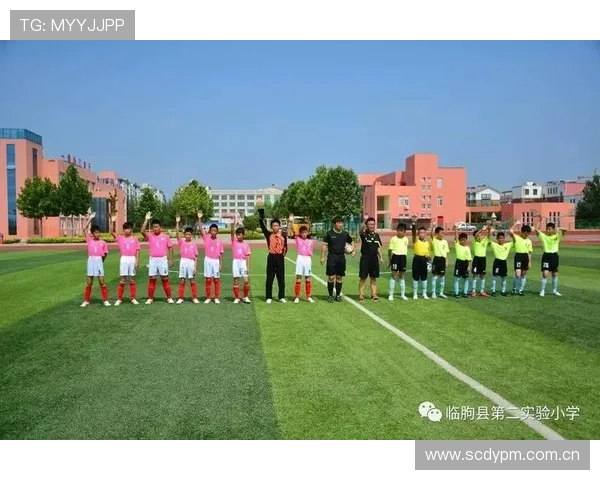 捷报体育平台提供专业的赛事分析与实时比分更新，满足体育迷的多样需求