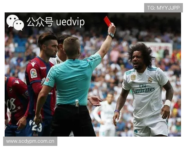 UEd体育赛事精彩瞬间集锦：热门比赛精彩片段一网打尽