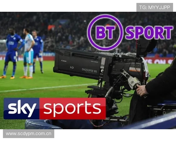 U体育网娱乐：提升体育娱乐体验的实用技巧与平台优势分析