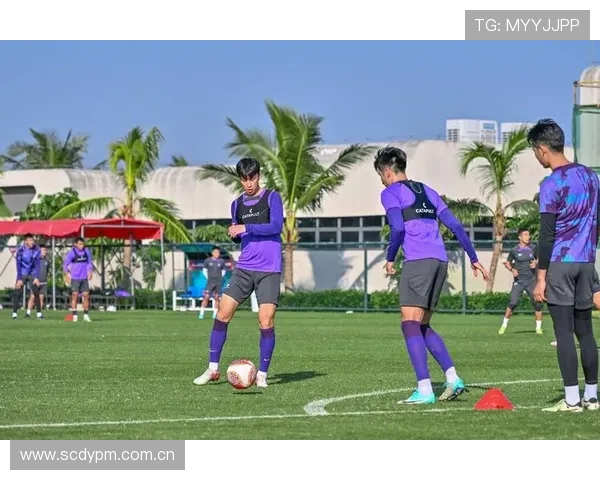 深入解析9sp体育平台的独家体育内容与专业评论