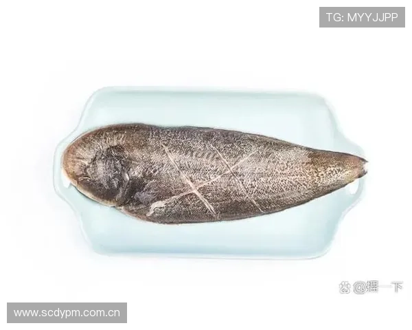 博鱼中国中国官方网站客户端下载教程及常见问题解答帮助新手快速上手