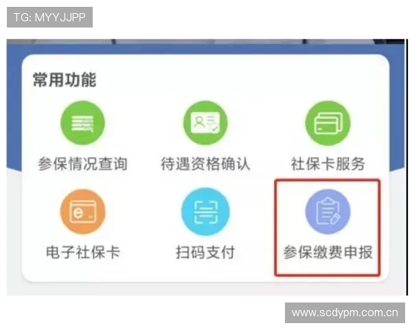 利用bob体育进行体育直播和赛事观看的详细操作流程与使用技巧