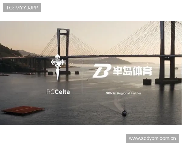 半岛体育网页版入口登录流程详解，助你轻松进入精彩体育赛事