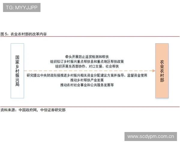 半岛国际开户的最新政策变化及应对策略全面解析